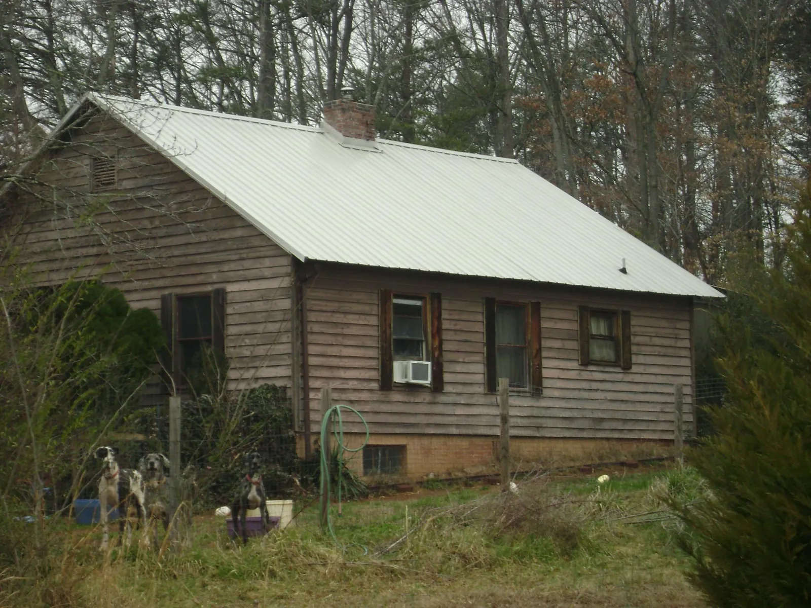 White metal roof on an old wood sided farmhouse, from a Asphalt Shingle Roof Repair job in Fort Jones